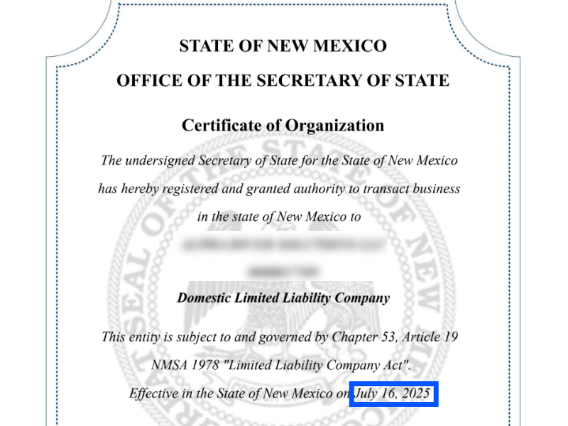 Articles of Organization Example 1